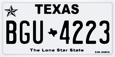 TX license plate BGU4223