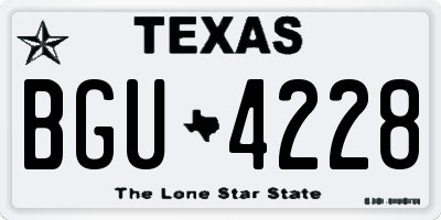 TX license plate BGU4228