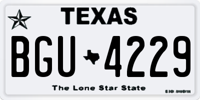 TX license plate BGU4229