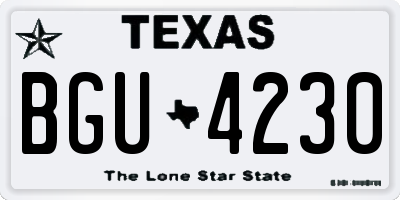 TX license plate BGU4230