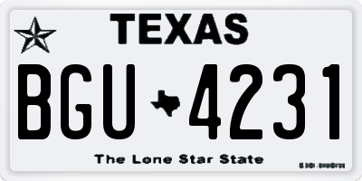 TX license plate BGU4231