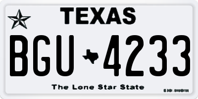 TX license plate BGU4233