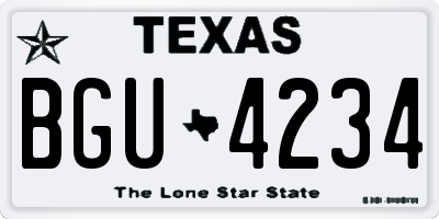 TX license plate BGU4234