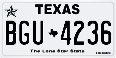 TX license plate BGU4236