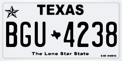 TX license plate BGU4238
