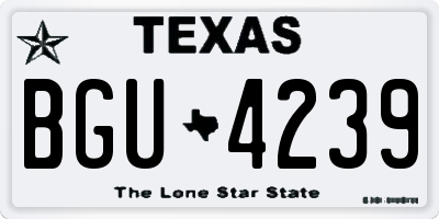 TX license plate BGU4239