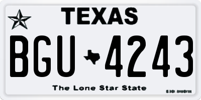 TX license plate BGU4243