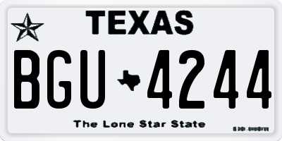 TX license plate BGU4244