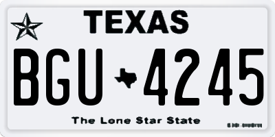 TX license plate BGU4245