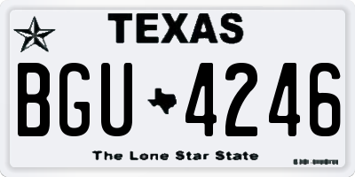 TX license plate BGU4246