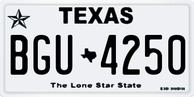 TX license plate BGU4250