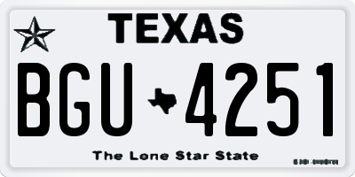 TX license plate BGU4251