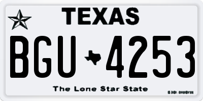 TX license plate BGU4253