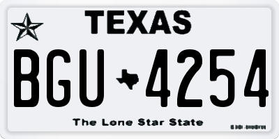 TX license plate BGU4254