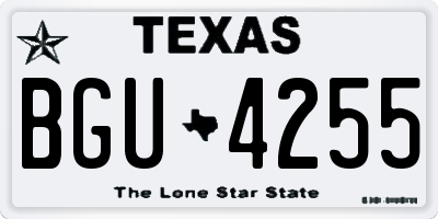 TX license plate BGU4255