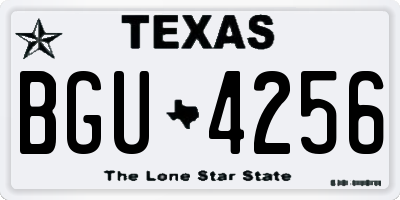 TX license plate BGU4256