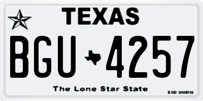 TX license plate BGU4257