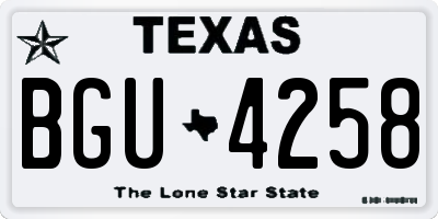 TX license plate BGU4258
