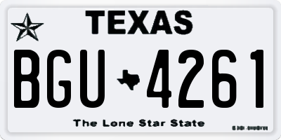 TX license plate BGU4261