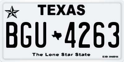 TX license plate BGU4263