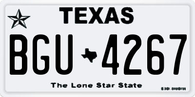 TX license plate BGU4267