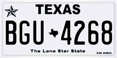 TX license plate BGU4268