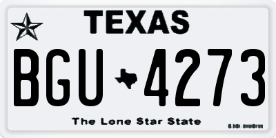 TX license plate BGU4273