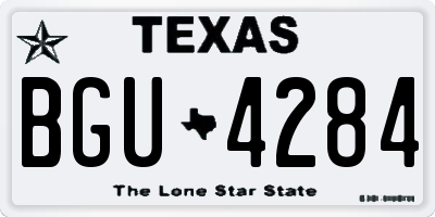 TX license plate BGU4284