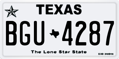TX license plate BGU4287