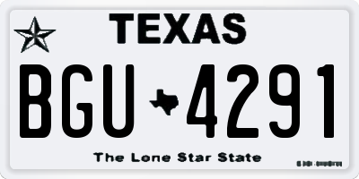 TX license plate BGU4291