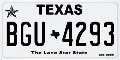 TX license plate BGU4293