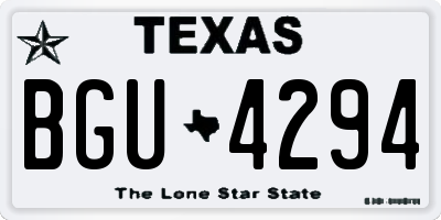 TX license plate BGU4294