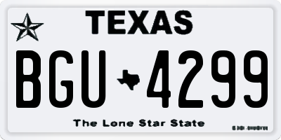 TX license plate BGU4299