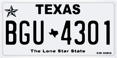 TX license plate BGU4301