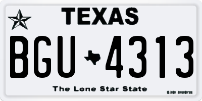 TX license plate BGU4313