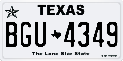 TX license plate BGU4349