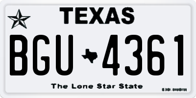 TX license plate BGU4361