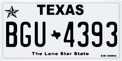 TX license plate BGU4393
