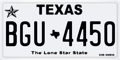 TX license plate BGU4450