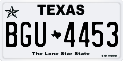 TX license plate BGU4453