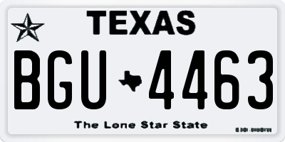 TX license plate BGU4463