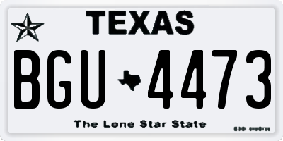 TX license plate BGU4473