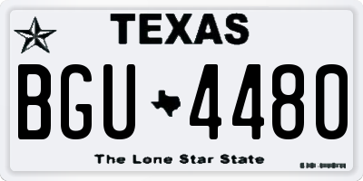 TX license plate BGU4480