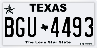 TX license plate BGU4493