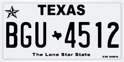 TX license plate BGU4512