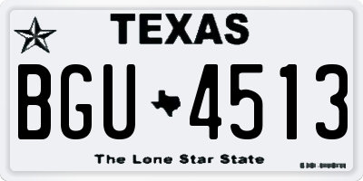 TX license plate BGU4513