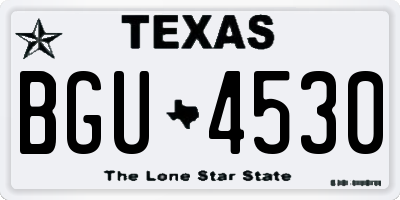 TX license plate BGU4530
