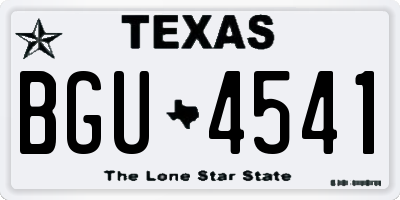 TX license plate BGU4541