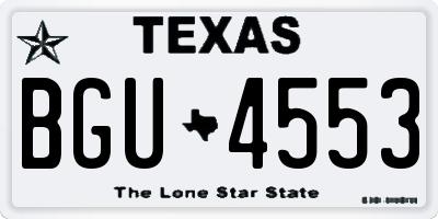 TX license plate BGU4553