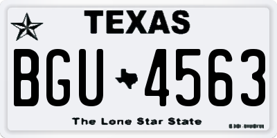 TX license plate BGU4563